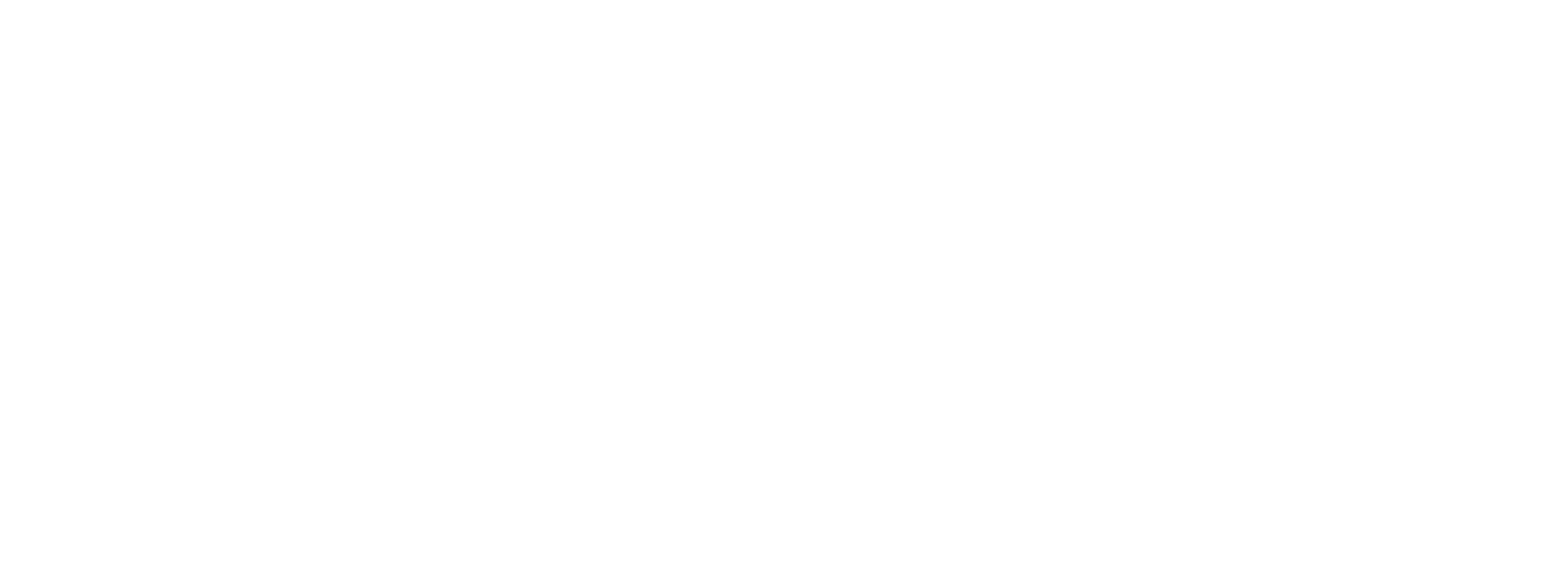 Nutcracker Logo